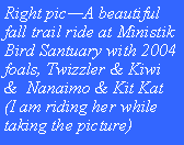 Text Box: Right pic—A beautiful fall trail ride at Ministik Bird Santuary with 2004 foals, Twizzler & Kiwi &  Nanaimo & Kit Kat (I am riding her while taking the picture) 